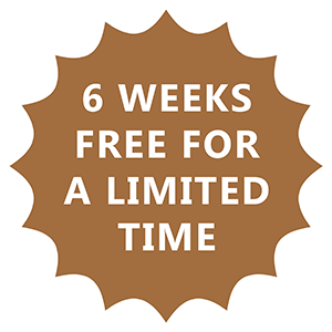 6 weeks free for a limited time