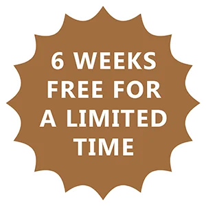 6 weeks free for a limited time